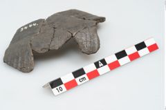 Foto von Keramikgefäß (NHMW-PRAE-003444)